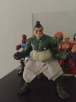 E. Honda (Street Fighter) Custom Action Figure