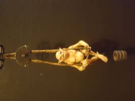 Scribe (Hobbit) Custom Action Figure [Won't let me rotate do to size]