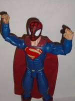 The Super Arachnid Teen (Amalgam) Custom Action Figure