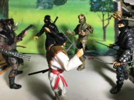 Kiyoshi Tanaka / Samurai (Forgotten Realms of Fantasy) Custom Action Figure