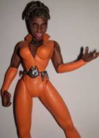 Vixen (Total Justice) Custom Action Figure