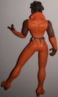 Vixen (Total Justice) Custom Action Figure