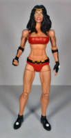 Big Barda (Justice League Beyond) [NSFW] (Batman Beyond) Custom Action Figure