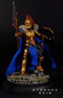 Champion of Accord (Fantasy) Custom Action Figure