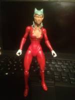 Catwoman (Batman) Custom Action Figure