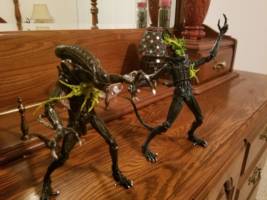 Battle Damaged Aliens/Xenomorphs (Aliens) Custom Action Figure