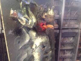 Aliens chest bursted woman (Aliens) Custom Diorama / Playset