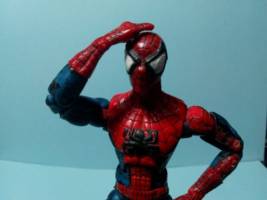 Spider-Man (McFarlane) (Marvel Legends) Custom Action Figure