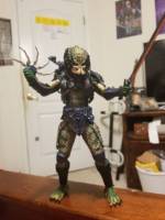 Unmasked Borg/Lost Predator (Predator) Custom Action Figure