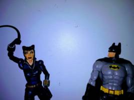 Catwoman#2 (Marvel Legends) Custom Action Figure