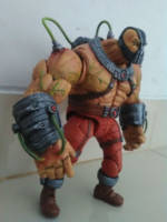 Bane (DC Universe) Custom Action Figure